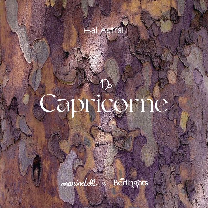 Capricorne